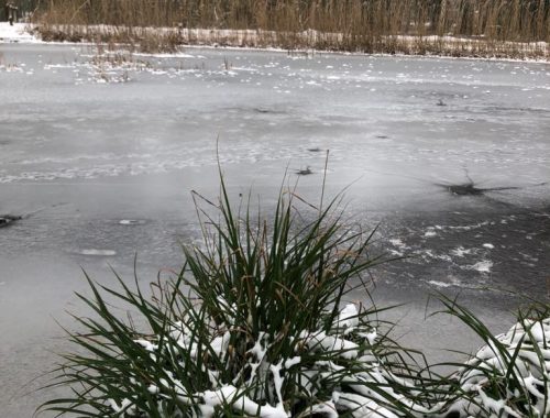 gratis uitstapje nijmegen