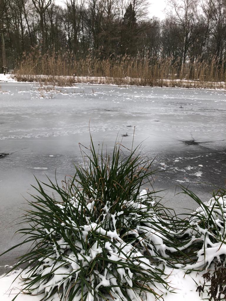 gratis uitstapje nijmegen